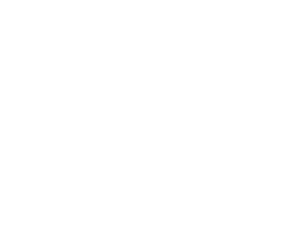 logo1