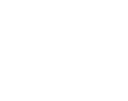 logo2