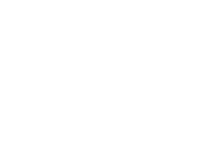 logo20